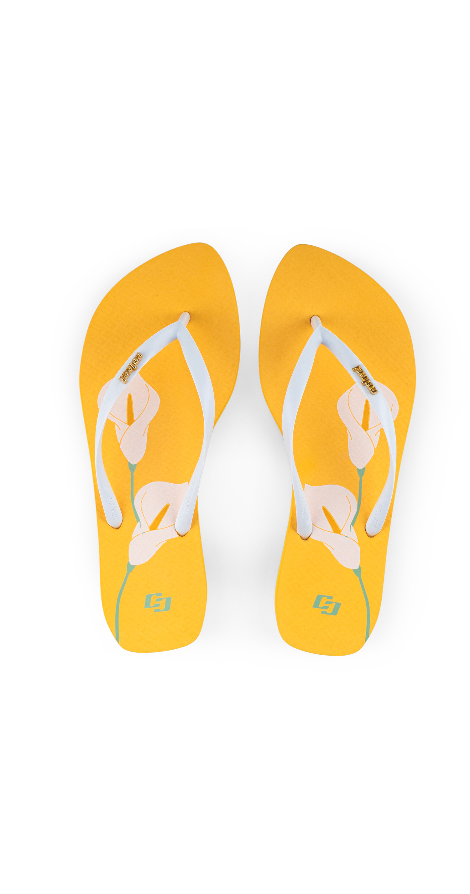 CHINELO COLCCI LIRIO - 026_C15_F 35-36 AMARELO POL