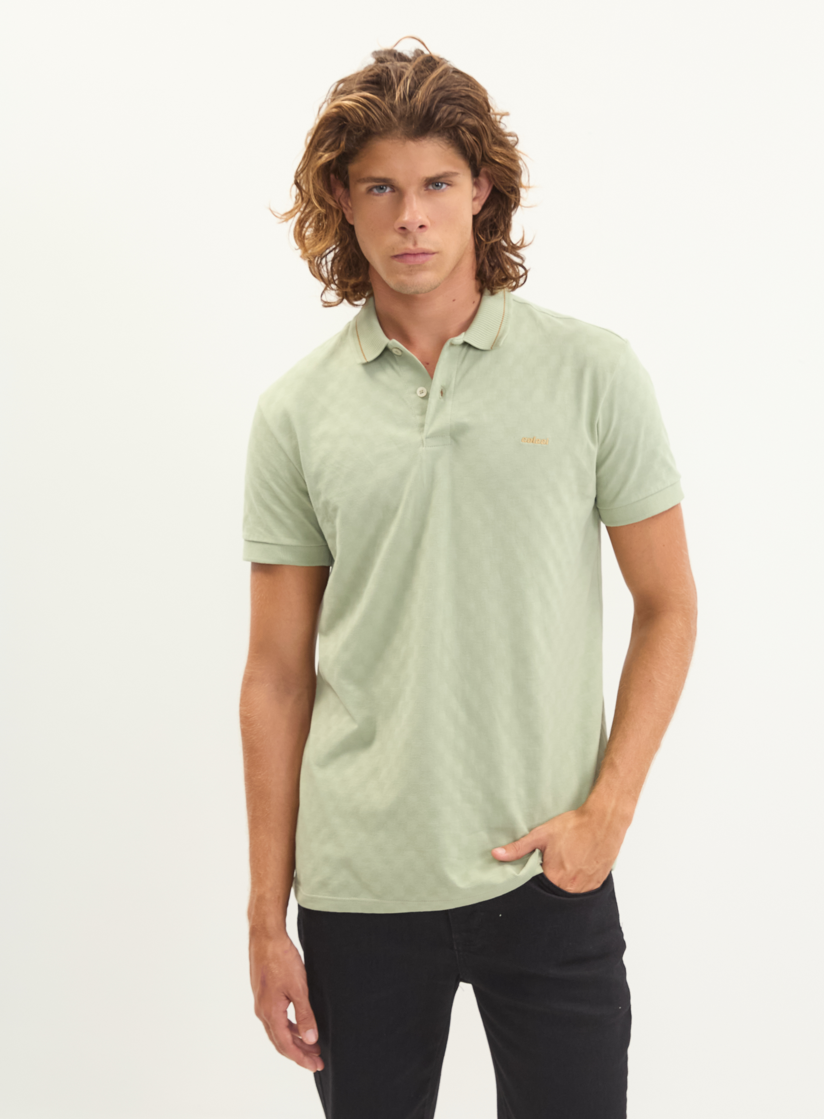 POLO COLCCI M VERDE JACUIPE